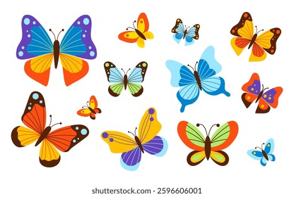 Colorful of various butterfly species collection. Isolated bright insects symbolizing nature beauty on white background. Vector illustration