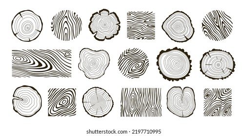 Wooden logs textures. Wood concepts graphics, lumber circles top view. Vintage outline tree rings stumps, cut trees structure racy vector collection